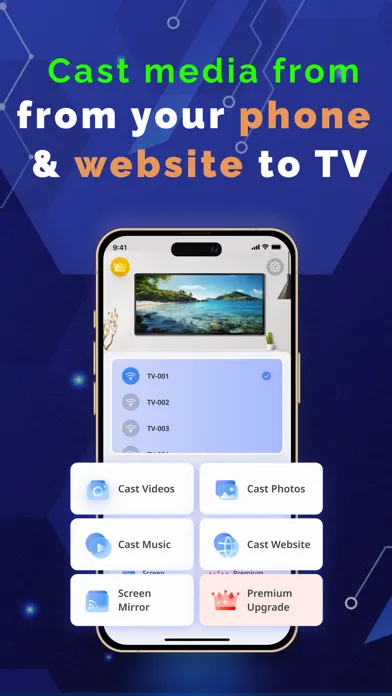 Tangkapan skrin Stayconnect With TV: Miracast