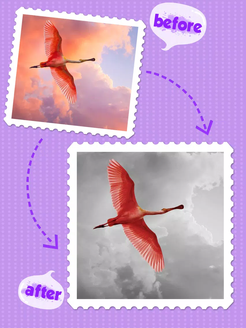 Color Editor FX HD - Recolor Photo & Splash Picture Effects iPad 应用截图