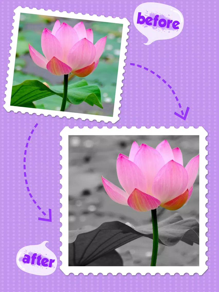 Color Editor FX HD - Recolor Photo & Splash Picture Effects iPad 应用截图