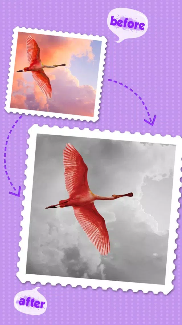 Color Editor FX HD - Recolor Photo & Splash Picture Effects应用截图