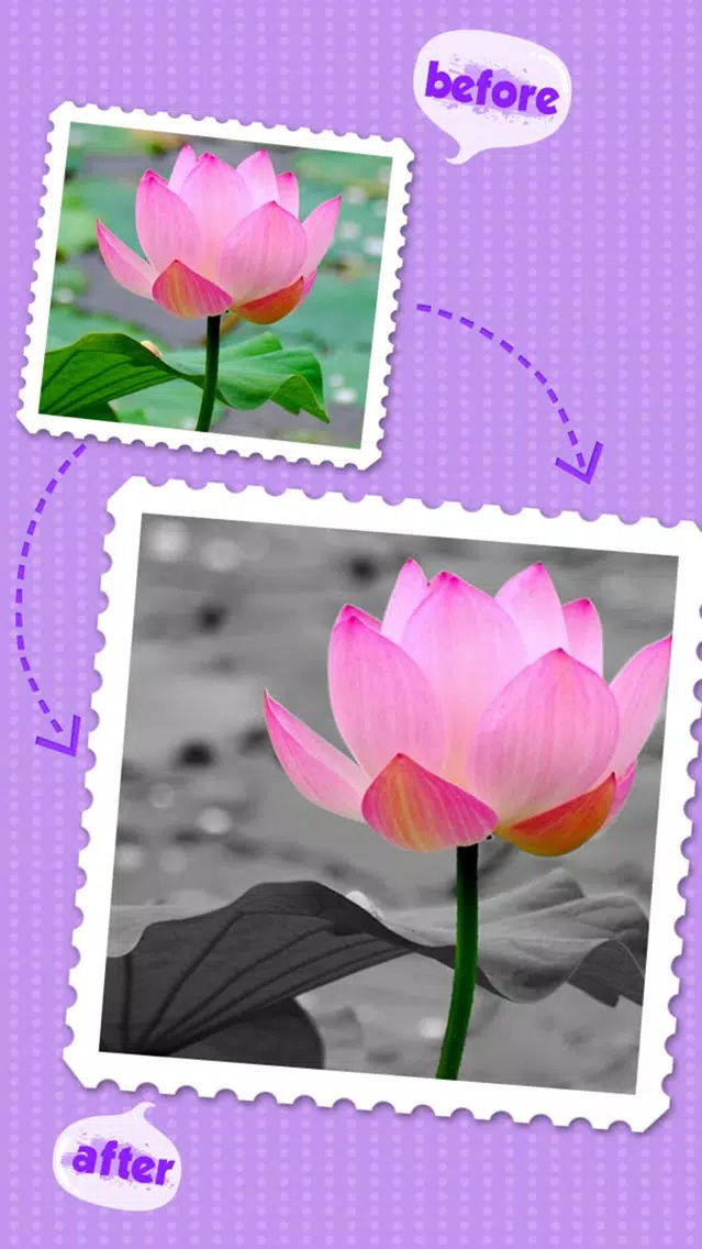 Color Editor FX HD - Recolor Photo & Splash Picture Effects应用截图