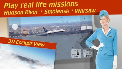 737 Flight Simulator 스크린샷