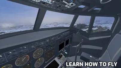 NG Flight Simulator应用截图