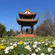 Mindfulness songs