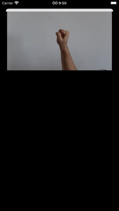 Iottech Handpose Screenshots