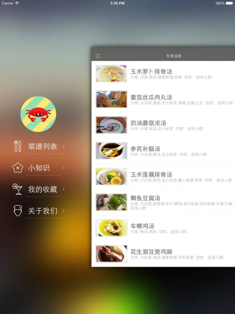 冬季汤煲 - 健康养生滋补美食专家 iPad 应用截图