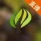 视频直播盒子 For Dota 2