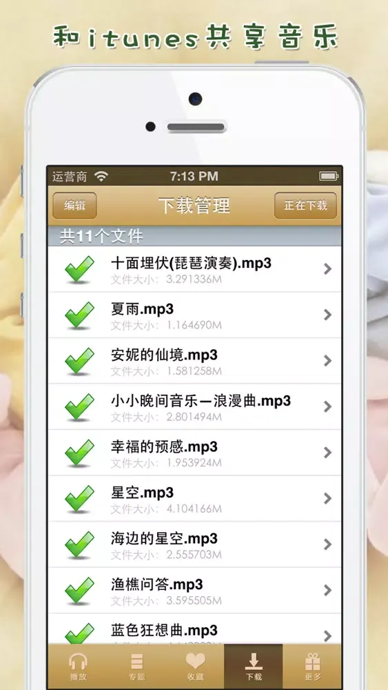 Скриншоты 胎教音乐盒 - 经典胎教音乐摇篮曲大全