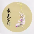 最美宋词