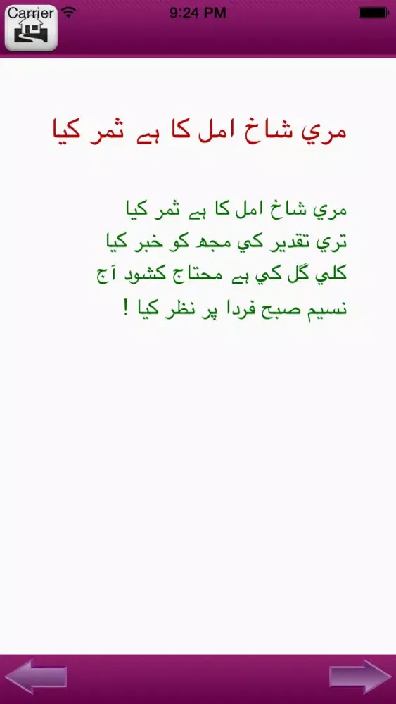 IQBAL ENCYCLOPEDIA: URDU - PERSIAN - ENGLISH, APP BY: (IQBALPEDIA.COM) Screenshots