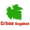 Erbaa Seyahat