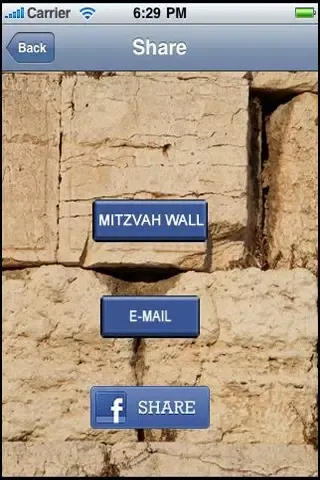Mitzvah Project স্ক্রিনশট