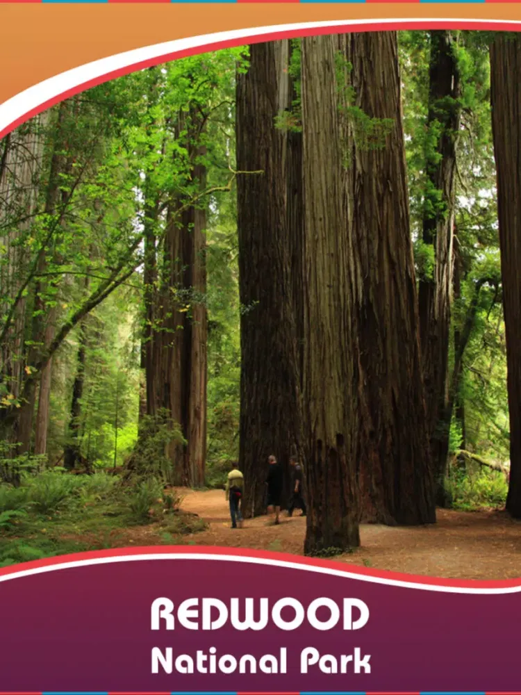 Visit Redwood National Park iPad  স্ক্রিনশট