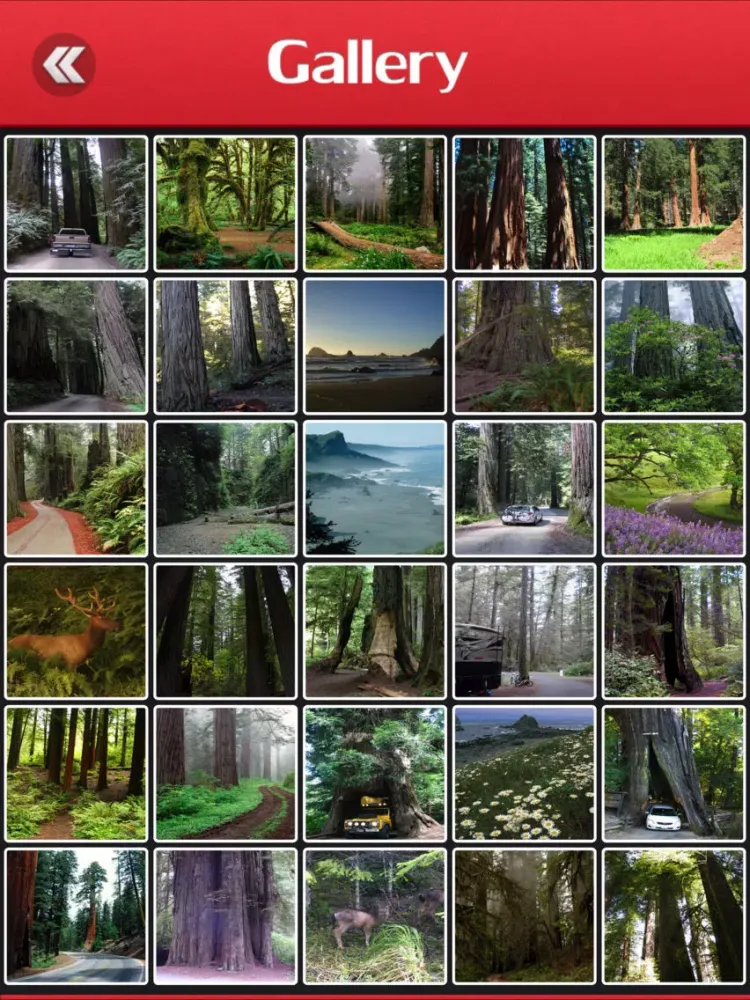 Visit Redwood National Park iPad  স্ক্রিনশট