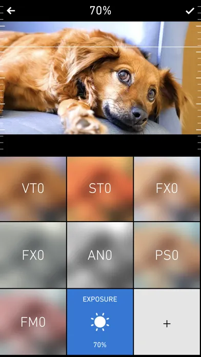 Screenshot di Chromic: Video Filters, Editor
