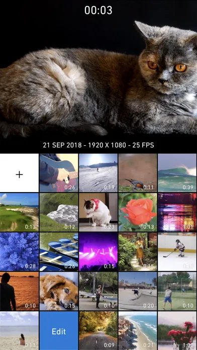 Screenshot di Chromic: Video Filters, Editor
