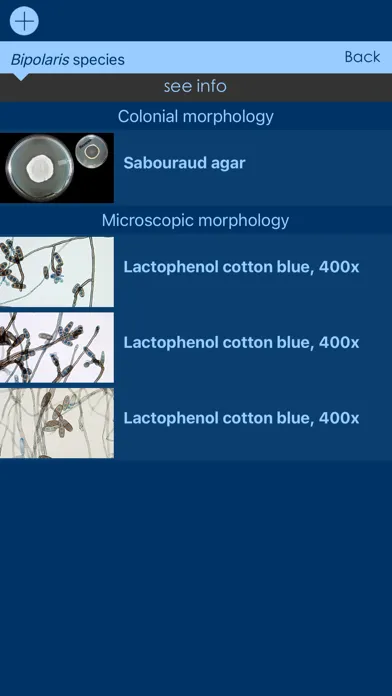 Mycology Image Atlas應用截圖