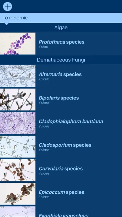 Mycology Image Atlas應用截圖