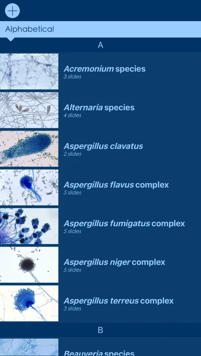 Mycology Image Atlas應用截圖
