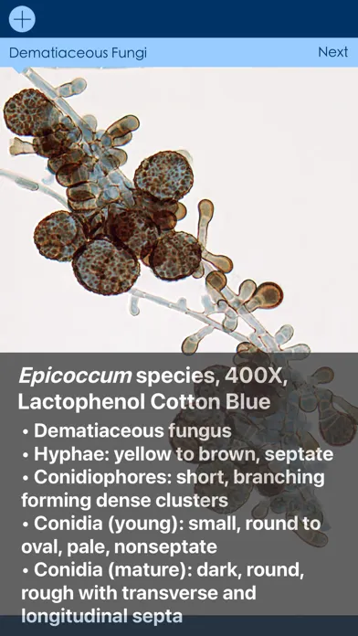 Mycology Image Atlas應用截圖