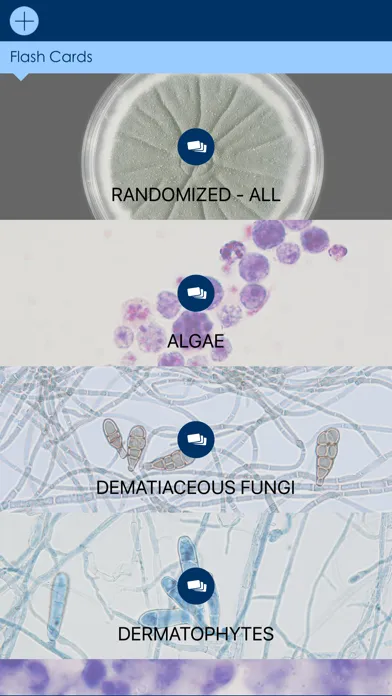 Mycology Image Atlas應用截圖