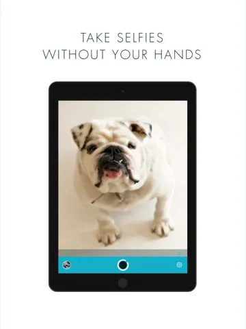 InstantCam for Instagram - Take photos without your hands iPad  Screenshots