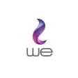WE Cairo ICT