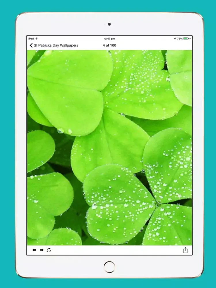 تصاویر St. Patrick's Day Wallpapers, Themes and Backgrounds iPad 