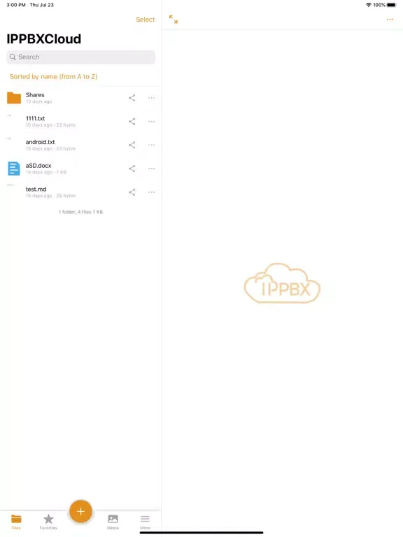 Capturas de tela do IPPBX Cloud iPad 