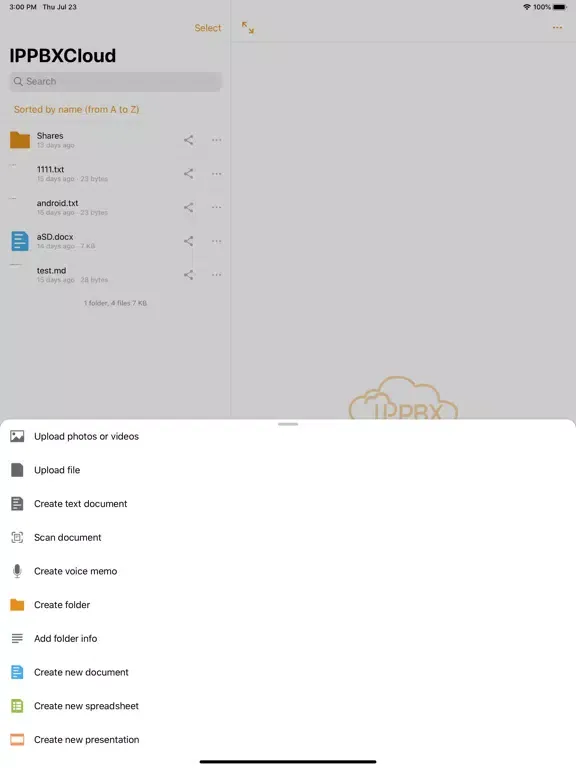 Capturas de tela do IPPBX Cloud iPad 
