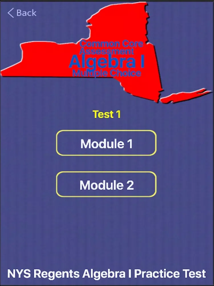 Screenshot di NY Regents Alg I Practice Test iPad 