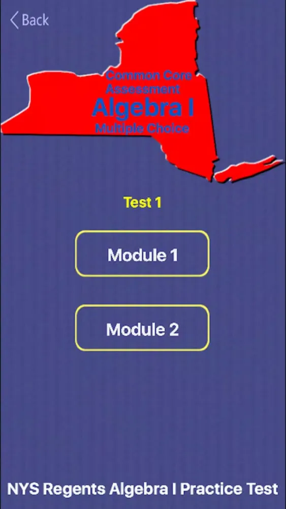 Screenshot di NY Regents Alg I Practice Test