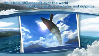 REAL WHALES  Find the cetacean. سکرین شاٹس