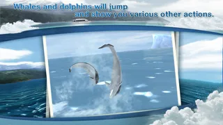 REAL WHALES  Find the cetacean. سکرین شاٹس