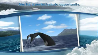 REAL WHALES  Find the cetacean. سکرین شاٹس