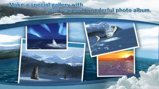 REAL WHALES  Find the cetacean. سکرین شاٹس