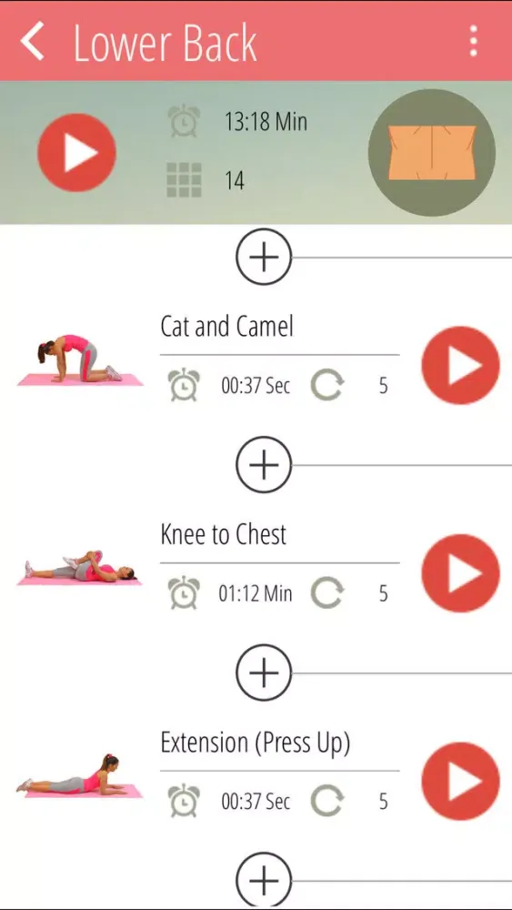 Back & Leg Stretching Exercises应用截图