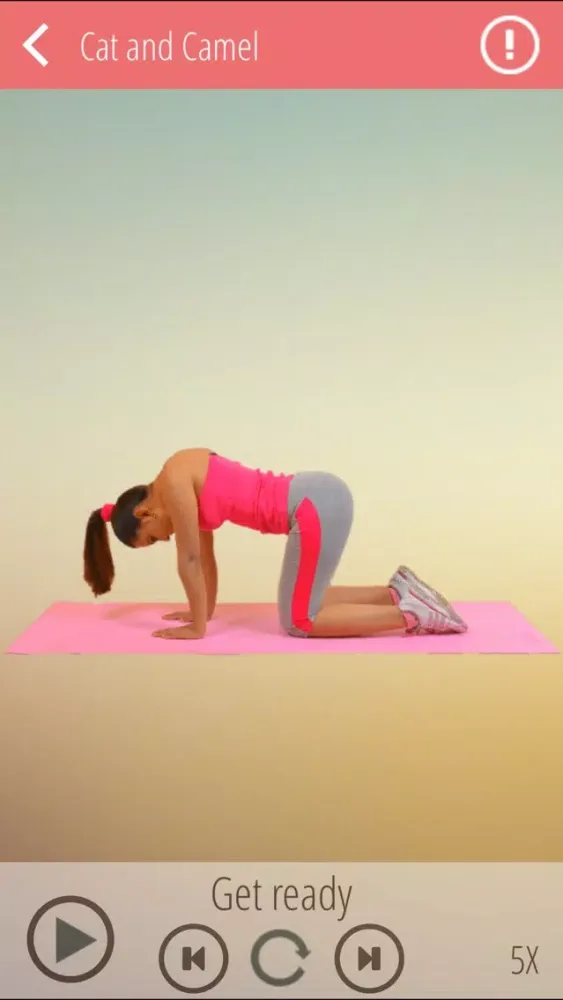 Back & Leg Stretching Exercises应用截图