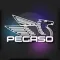 Pegaso Plus