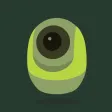 ipCAM
