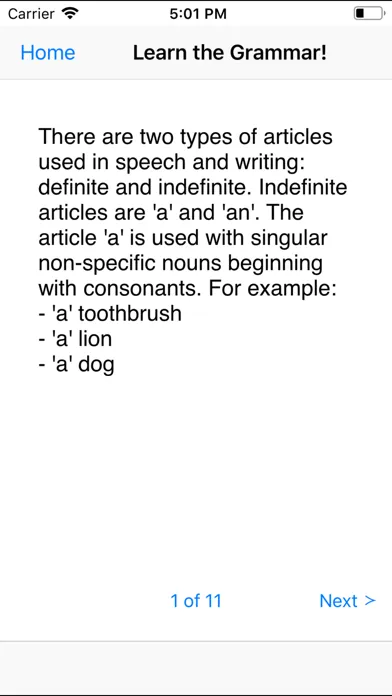 ภาพหน้าจอของ Grammar Basics and Advanced