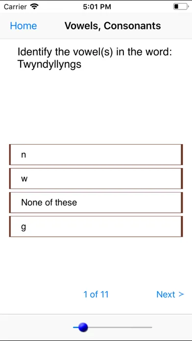 ภาพหน้าจอของ Grammar Basics and Advanced