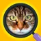 Close Up Pics - Quiz Word Game