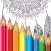 The Adult Coloring Book