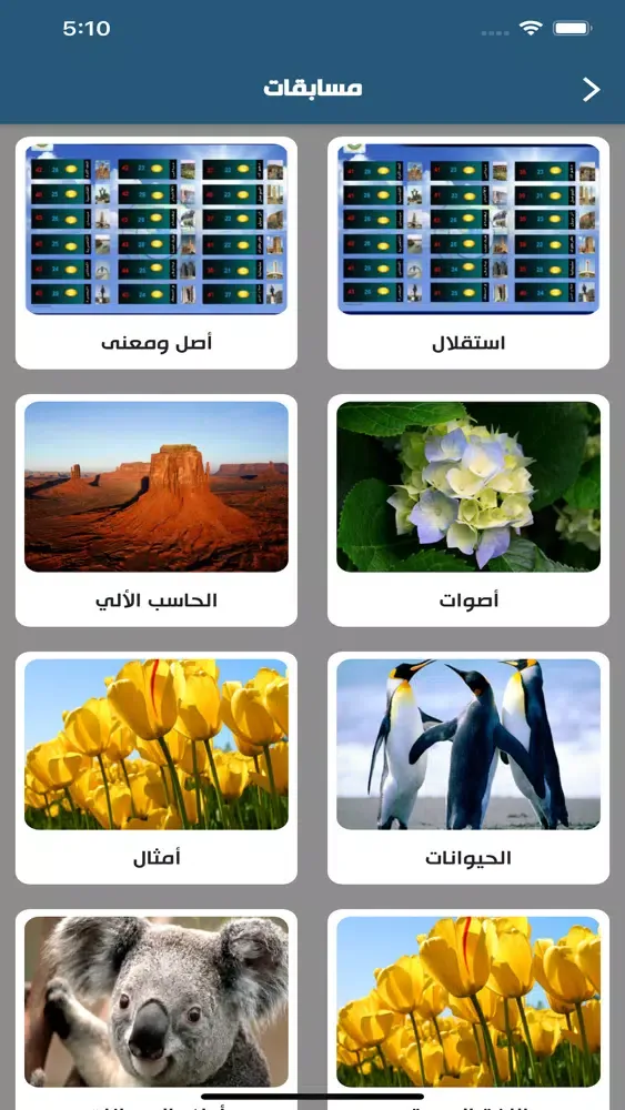 Скриншоты البيت العراقي