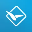 النورس الابيض النجف