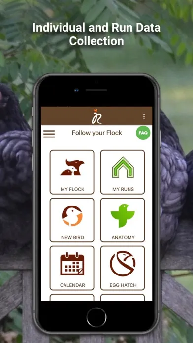 Ảnh chụp màn hình của iRecord My Flock