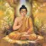 Buddha (The Enlightened One) - Amar Chitra Katha