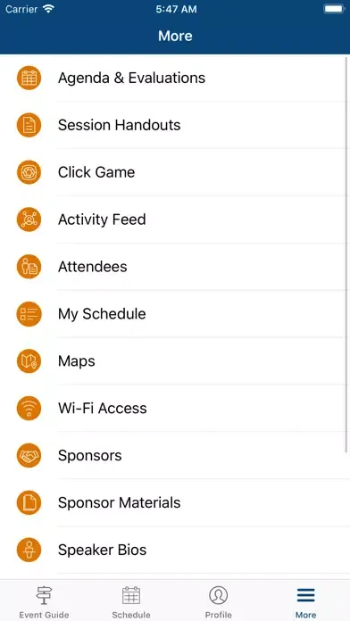 Скриншоты IRMI Conferences