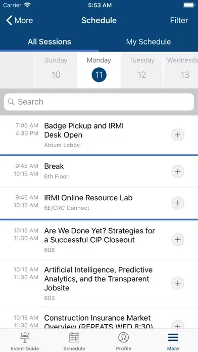 Скриншоты IRMI Conferences